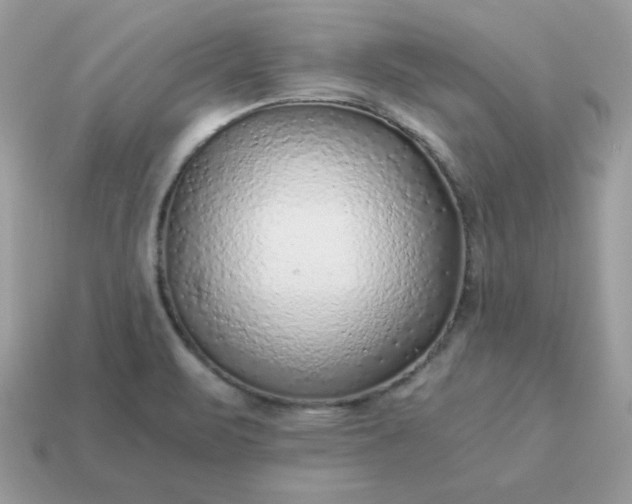 X0000115151471200911101719