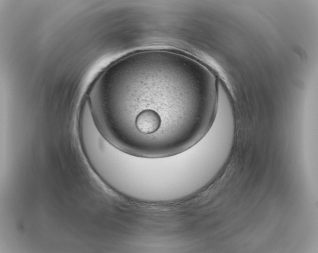X0000115151472200911101719