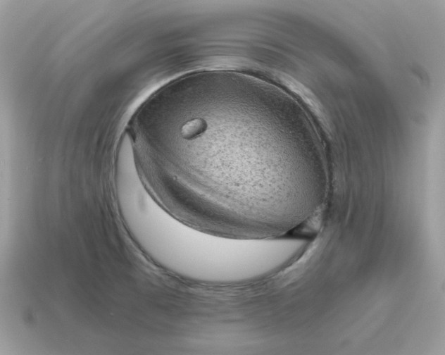 X0000115151473200911101719