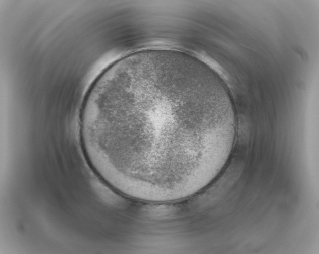 X0000115151474200911101719