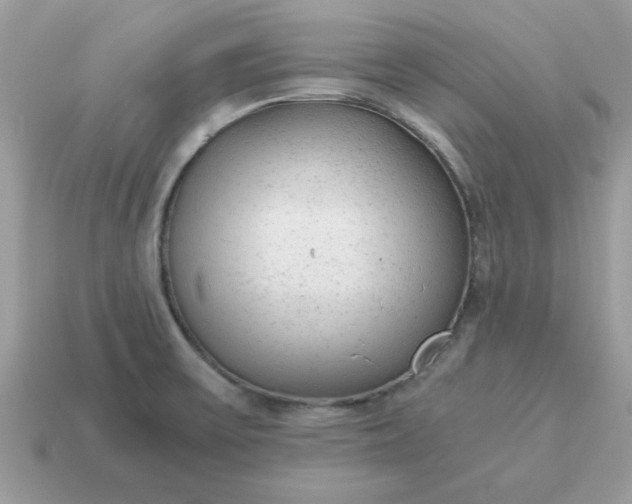 X0000115151475200911101719