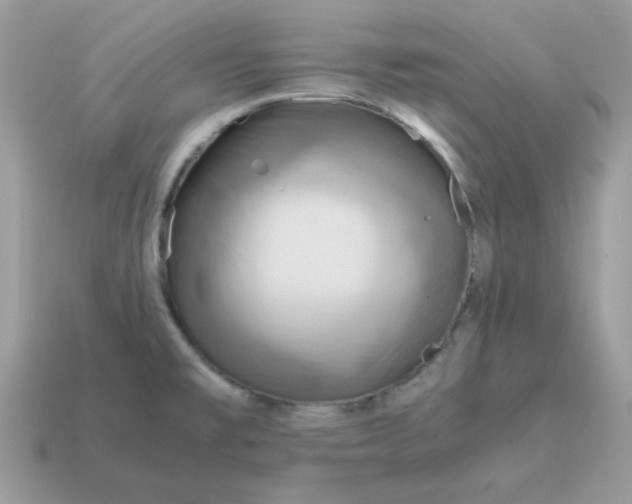 X0000115151477200911101719