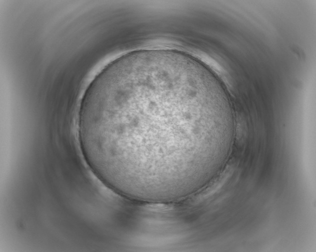 X0000115151478200911101719