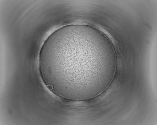 X0000115151479200911101719