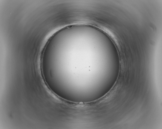 X0000115151480200911101719