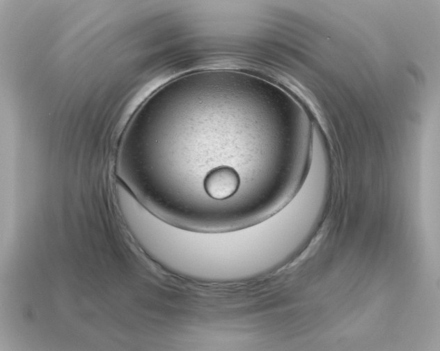 X0000115151481200911101719