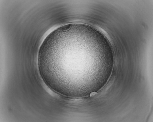 X0000115151482200911101719