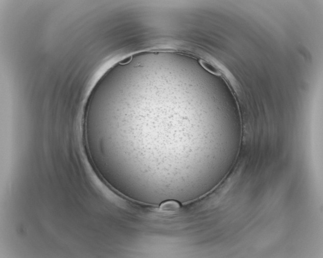X0000115151483200911101719