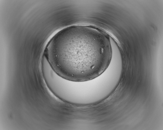 X0000115151484200911101719