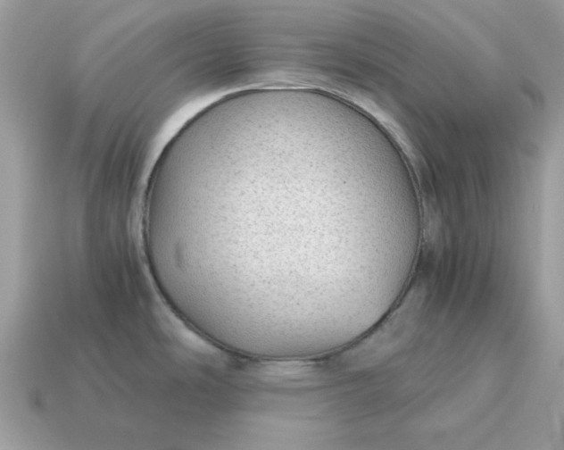 X0000115151486200911101719
