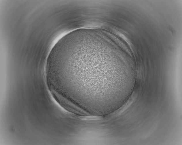 X0000115151487200911101719