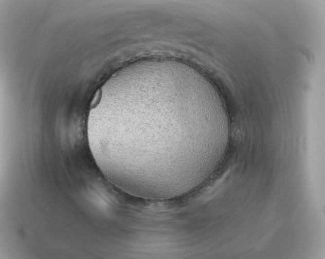 X0000115151490200911101718