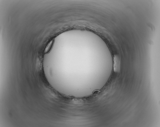 X0000115151491200911101718