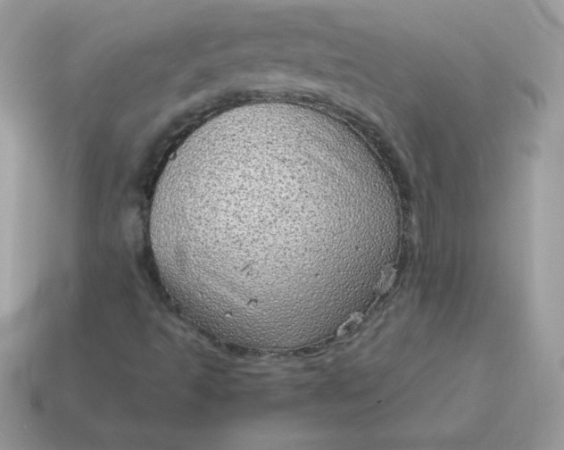 X0000115151493200911101718