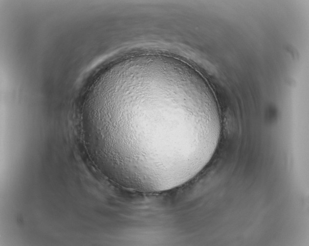 X0000115151494200911101718
