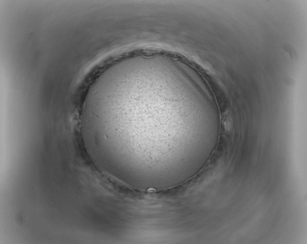 X0000115151495200911101718