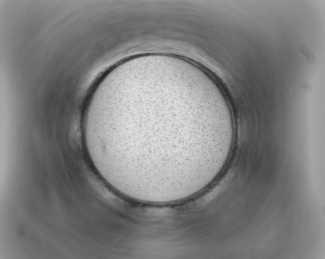 X0000115151498200911101718