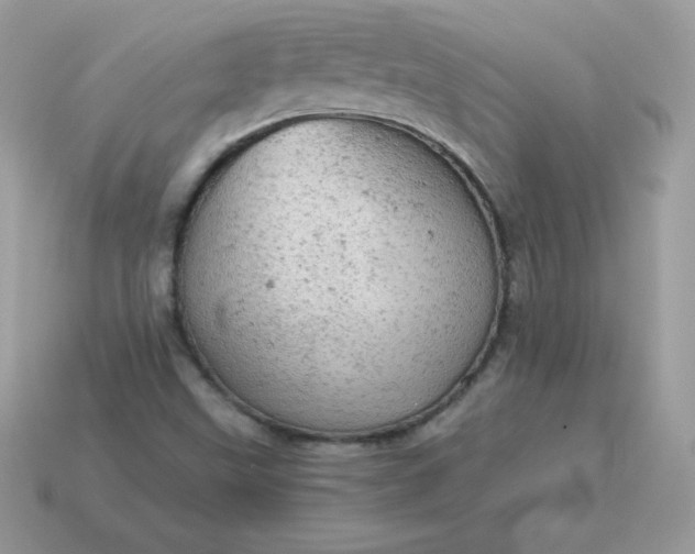 X0000115151499200911101718
