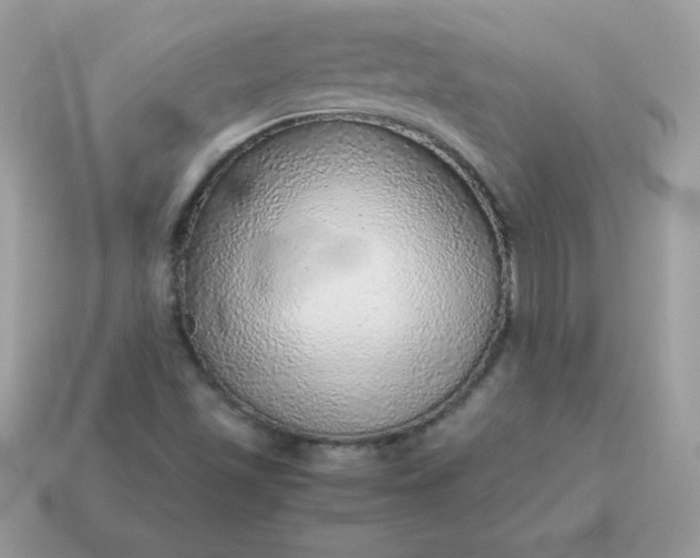 X0000115151501200911101718