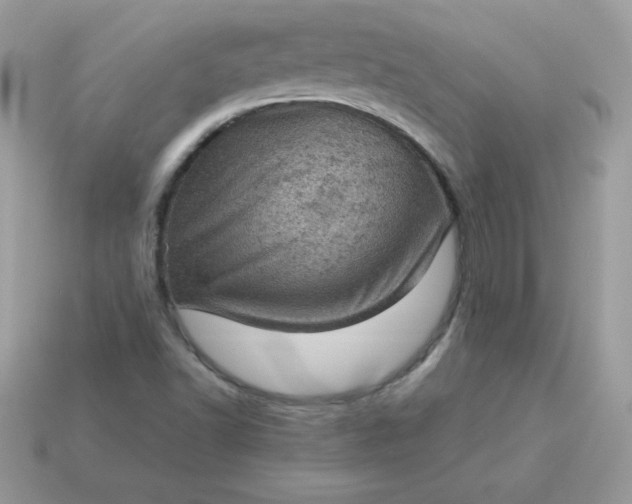 X0000115151502200911101718