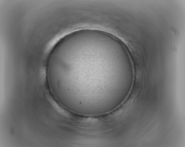 X0000115151503200911101718