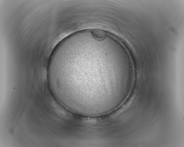 X0000115151505200911101718