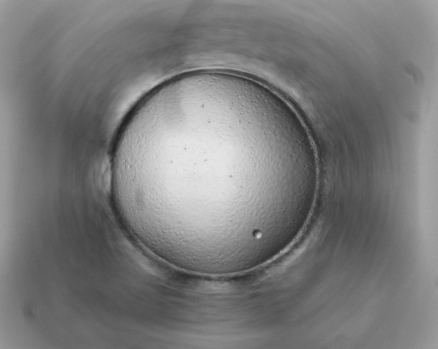 X0000115151509200911101718