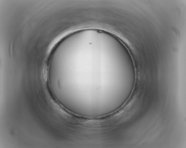 X0000115151510200911101718