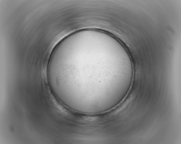 X0000115151513200911101718