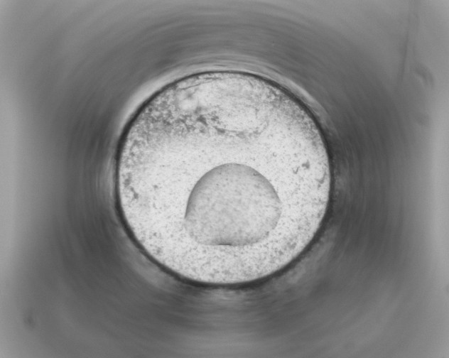 X0000115151514200911101718