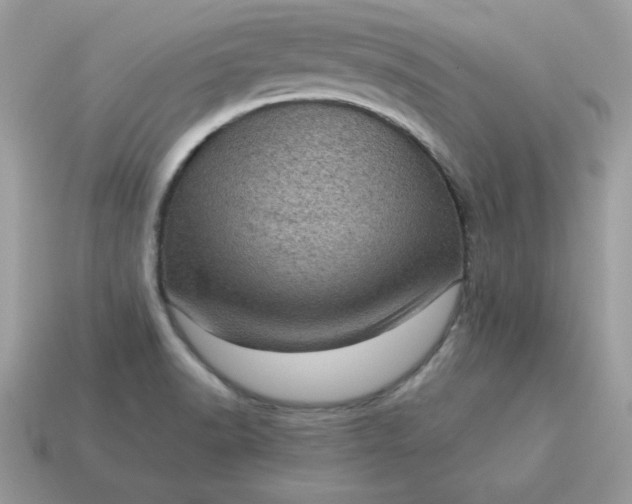 X0000115151518200911101718