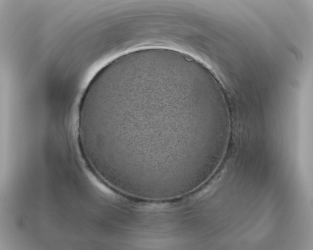 X0000115151519200911101718
