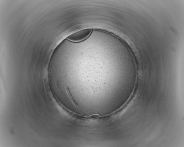 X0000115151521200911101718