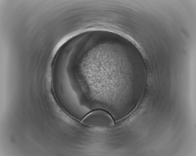 X0000115151522200911101718