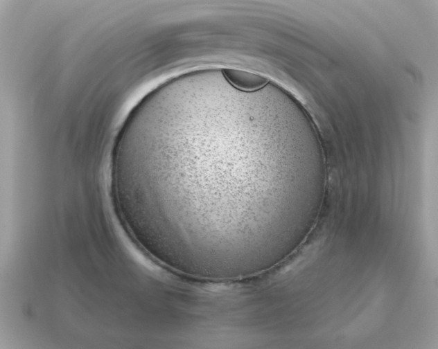 X0000115151523200911101718