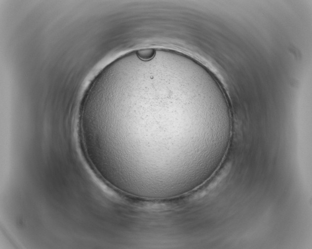 X0000115151525200911101718
