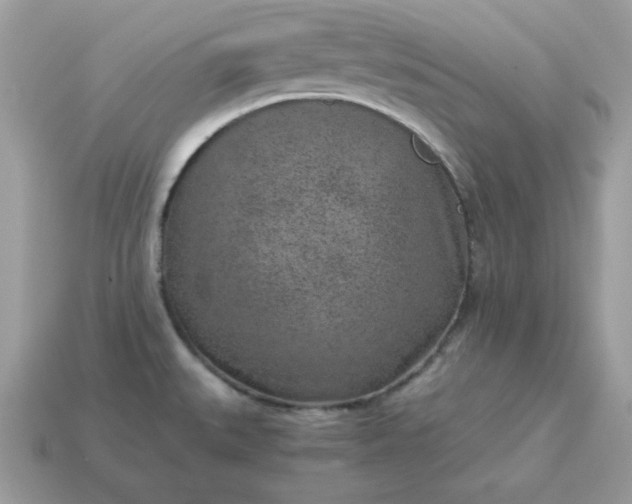 X0000115151527200911101718