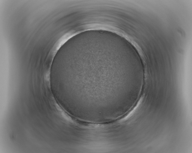 X0000115151529200911101718