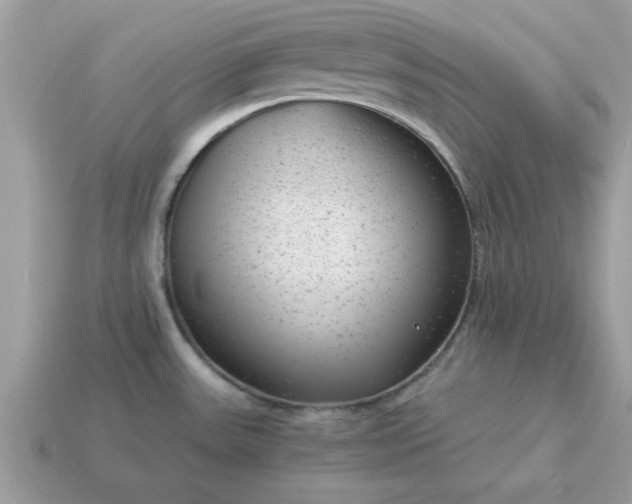 X0000115151531200911101718