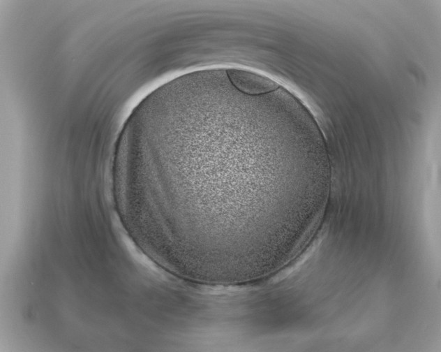 X0000115151534200911101719