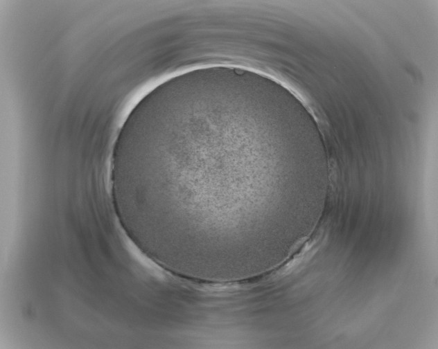 X0000115151535200911101719