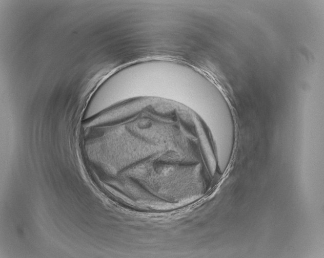 X0000115150001200911171250