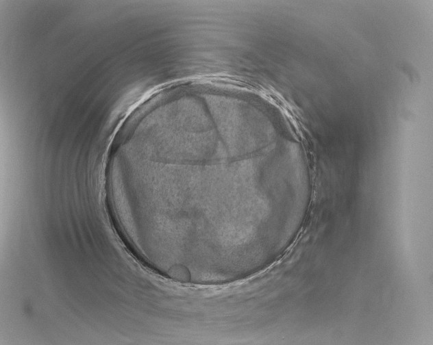 X0000115150002200911171250