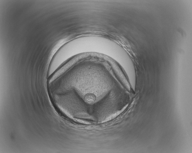 X0000115150003200911171250