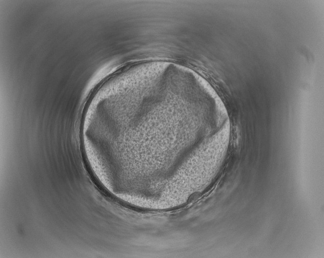 X0000115150004200911171250