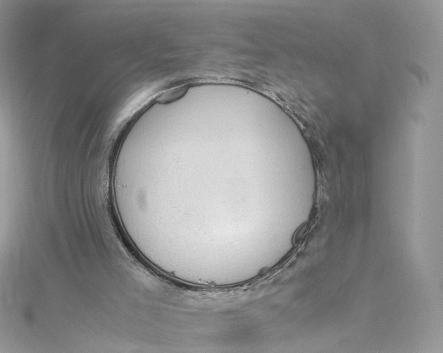 X0000115150005200911171250