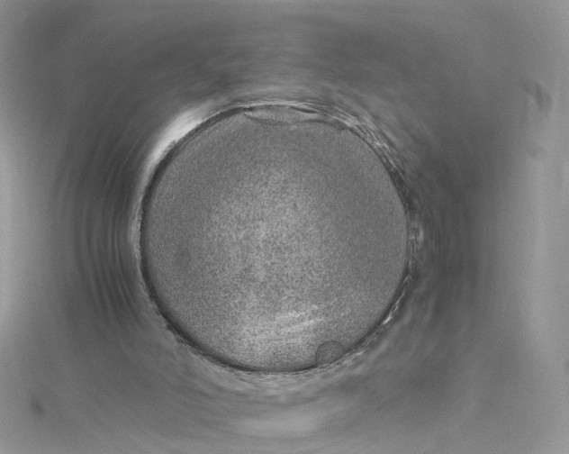 X0000115150006200911171250