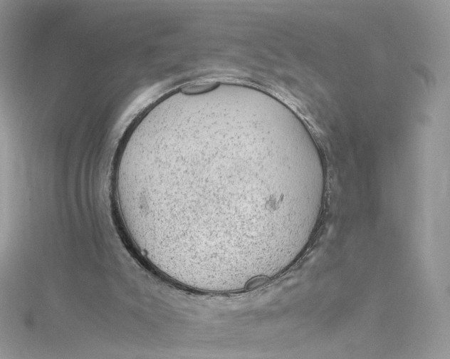 X0000115150007200911171250