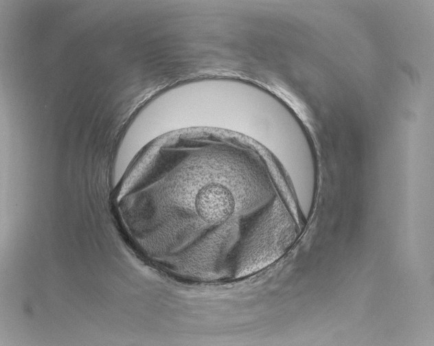 X0000115150009200911171250