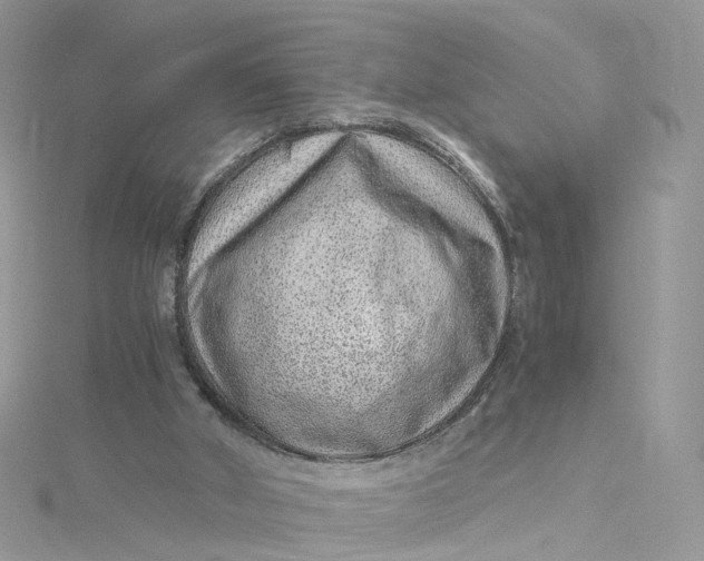 X0000115150010200911171250